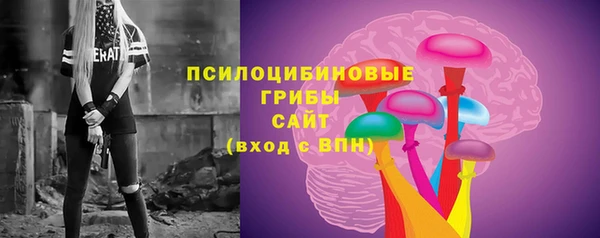 твердый Бежецк