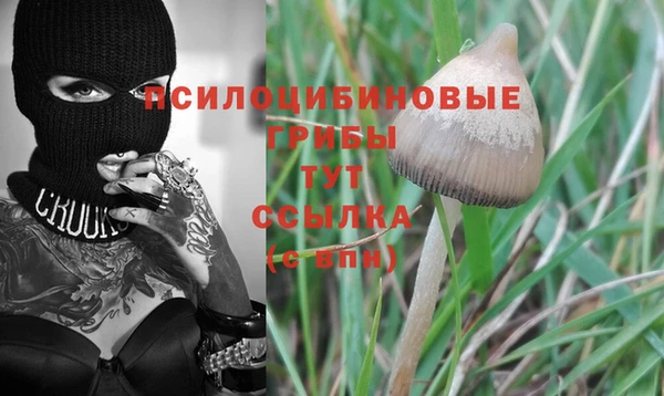 гашиш Белая Холуница