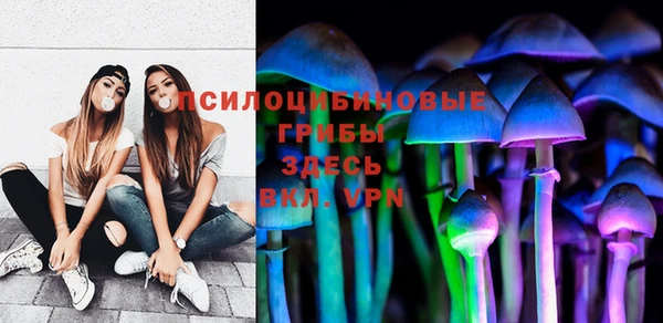 твердый Бежецк