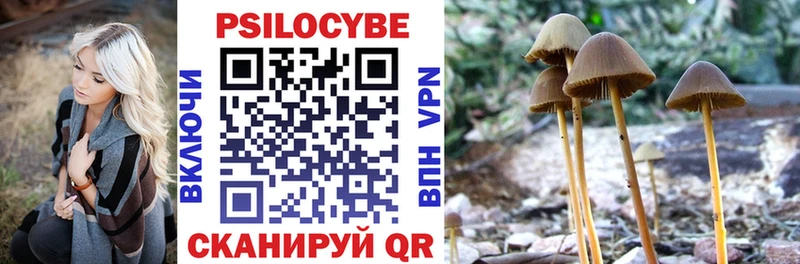 Псилоцибиновые грибы Cubensis  как найти наркотики  Кемь 